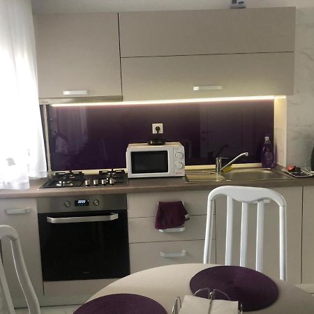 Tudor Apartment Braila Bagian luar foto